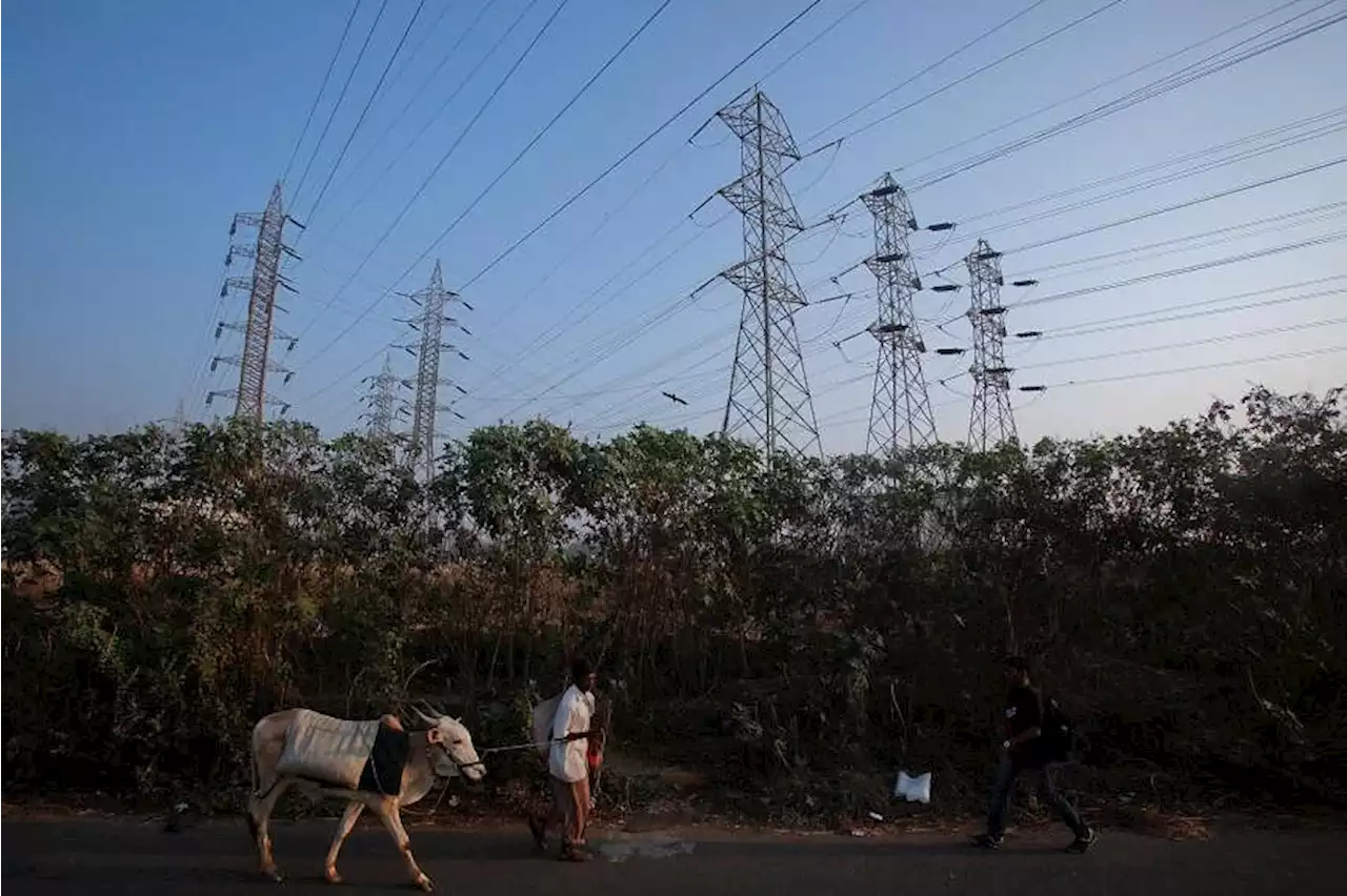 Dark summer nights: India faces high risks of power cuts after years of coal, hydro power neglect