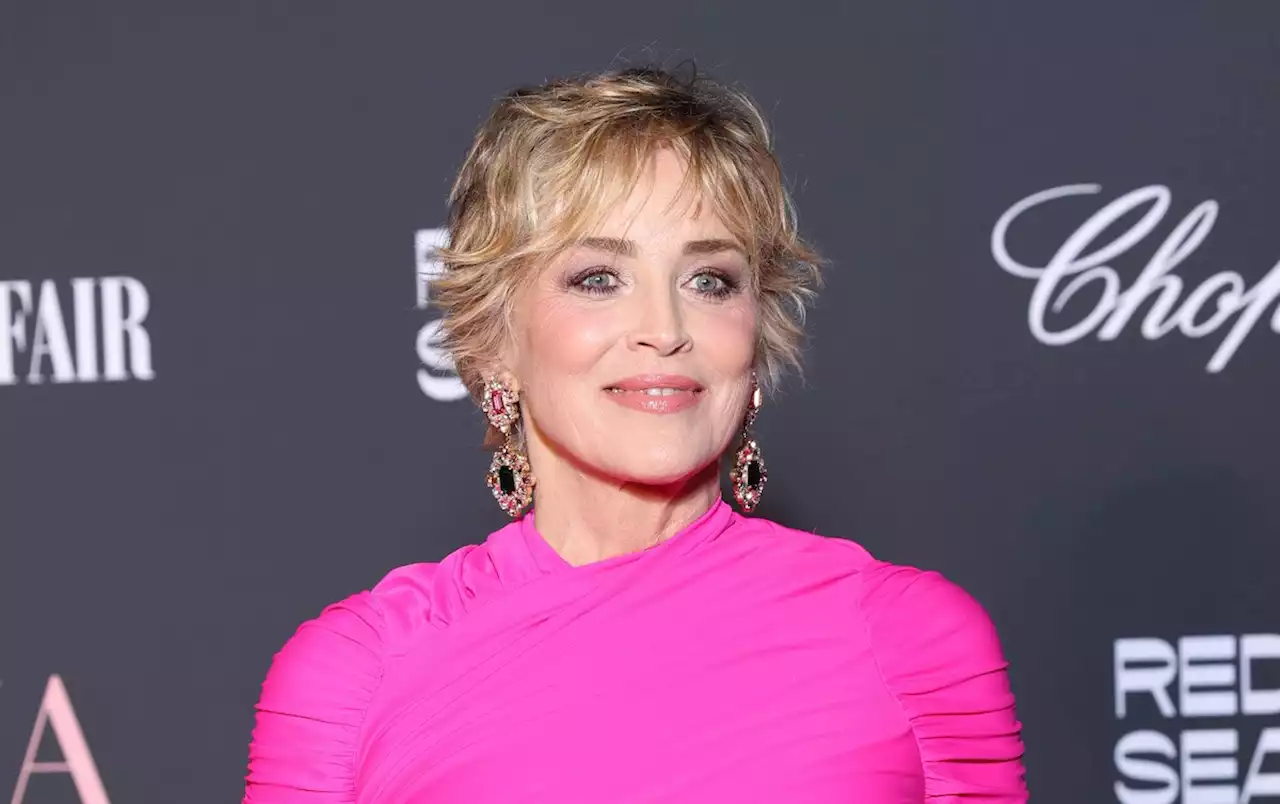 Sharon Stone verlor Sorgerecht für Sohn wegen „Sex-Film“