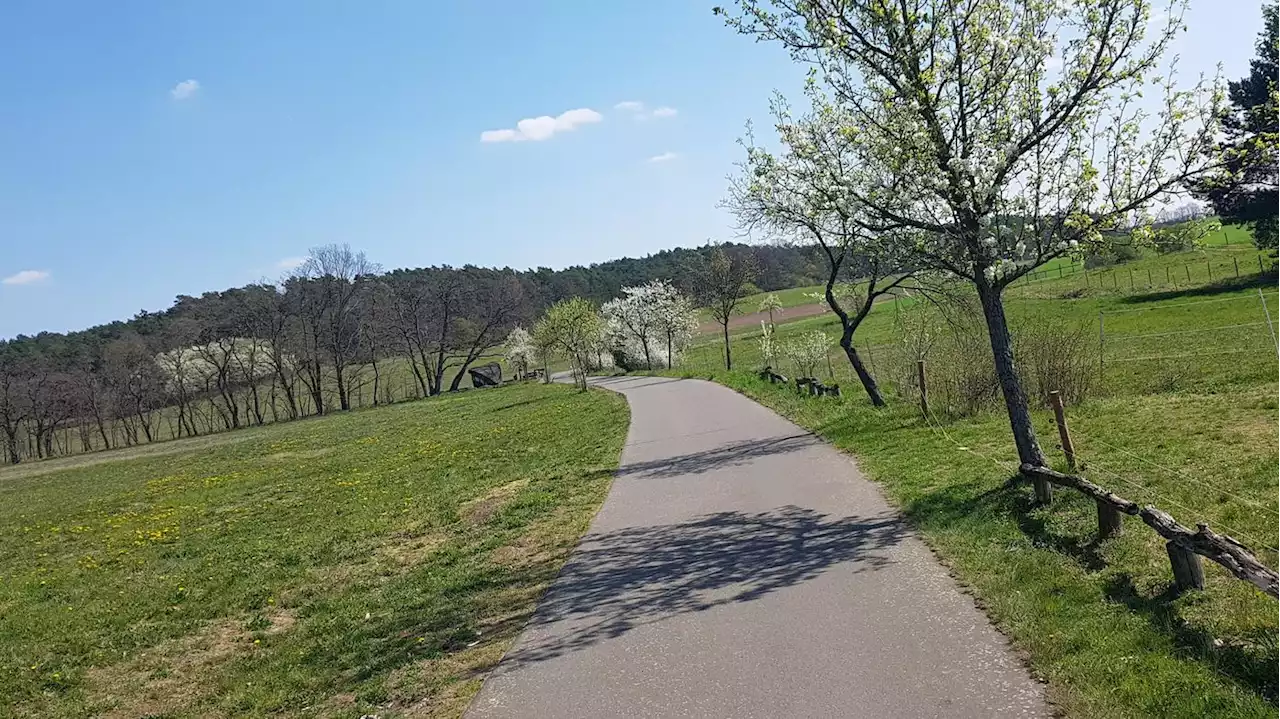 Brandenburgs Radwege nur Mittelmaß: Nur jeder achte Radreisende kommt in die Mark