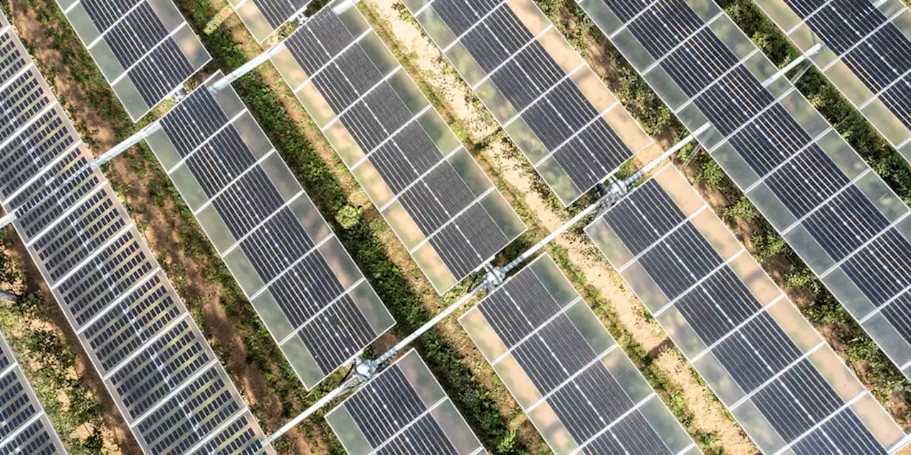 Vereinsgründer über Bürger-Solarfabrik: „Anstrengend, aber bereichernd“