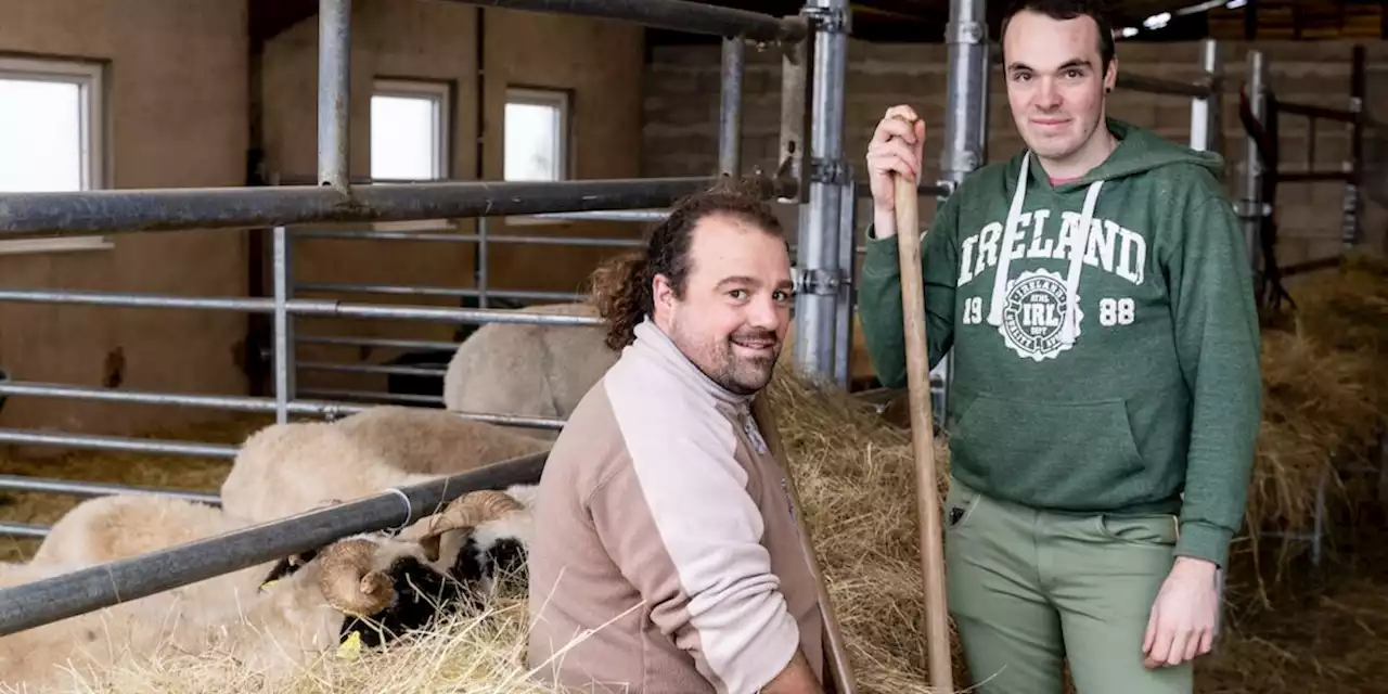 Familles d'agriculteurs : cette condition que Guillaume et Tom (L'amour est dans le pré) ont posé pour participer à l'émission