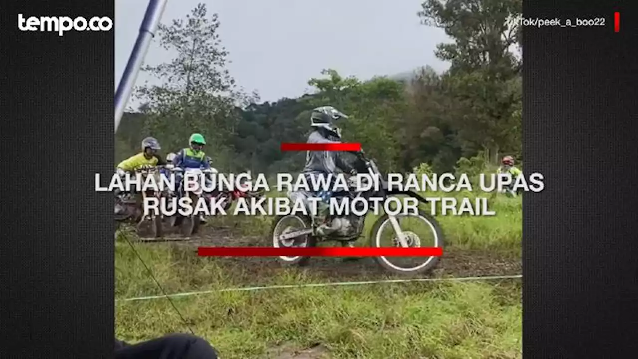 Viral Lahan Bunga Rawa Ranca Upas Rusak Akibat Motor Trail, Bupati Bandung Kecam Keras