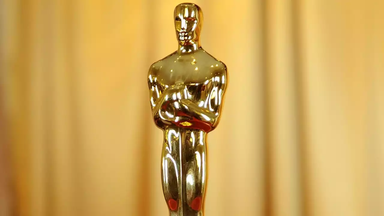 Oscars: Academy Adds Red Carpet ASL Interpreters, Accessibility Guide and More for 2023 Show