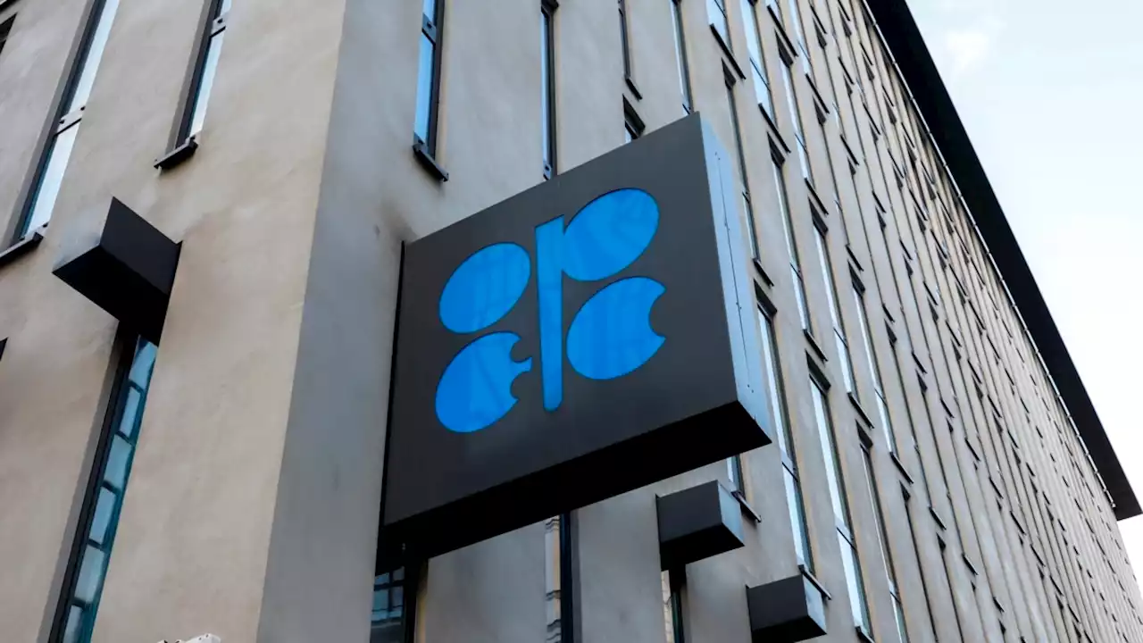 OPEC Tak Perlu Genjot Produksi Gantikan Pemotongan Minyak Rusia