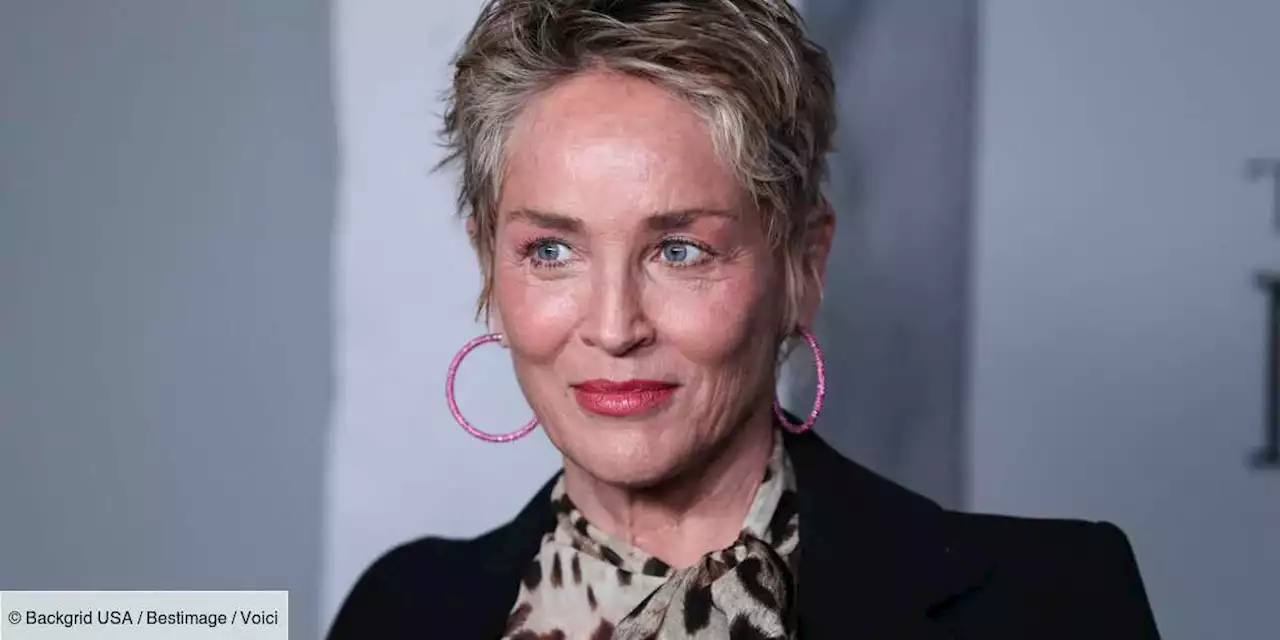 Sharon Stone : pourquoi son rôle dans Basic Instinct lui a coûté très cher - Voici