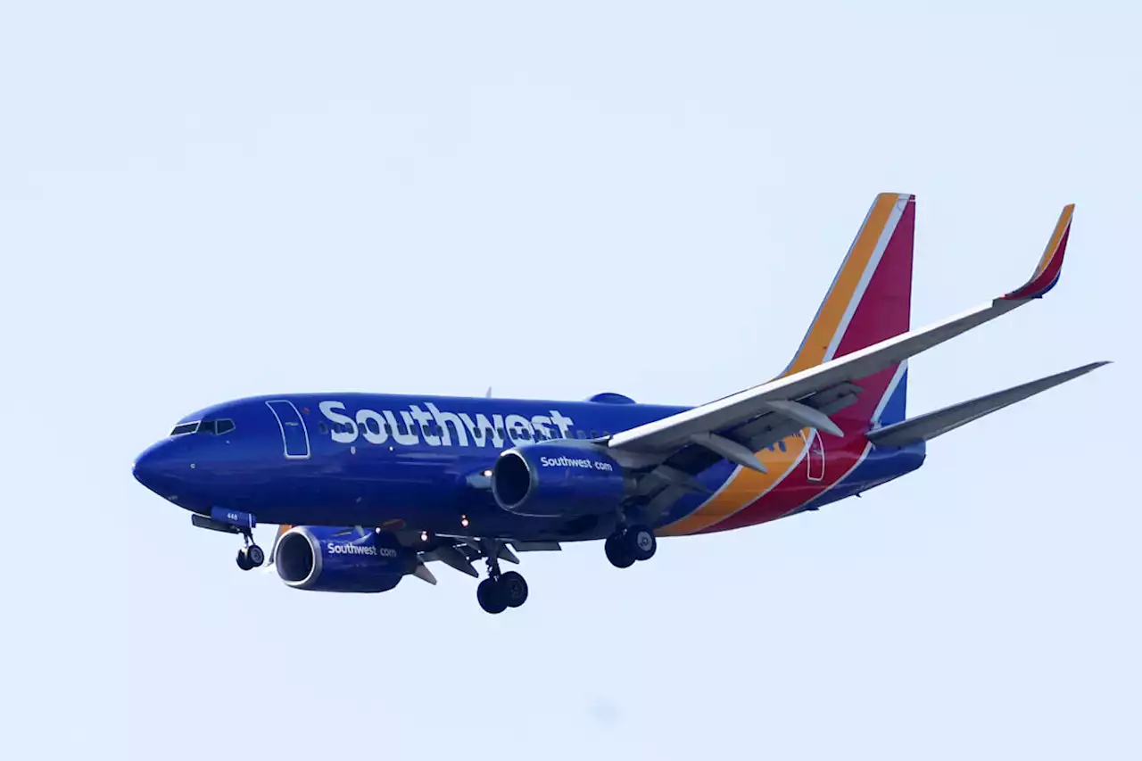 Punches thrown, chaos erupts aboard Southwest Airlines plane in Dallas