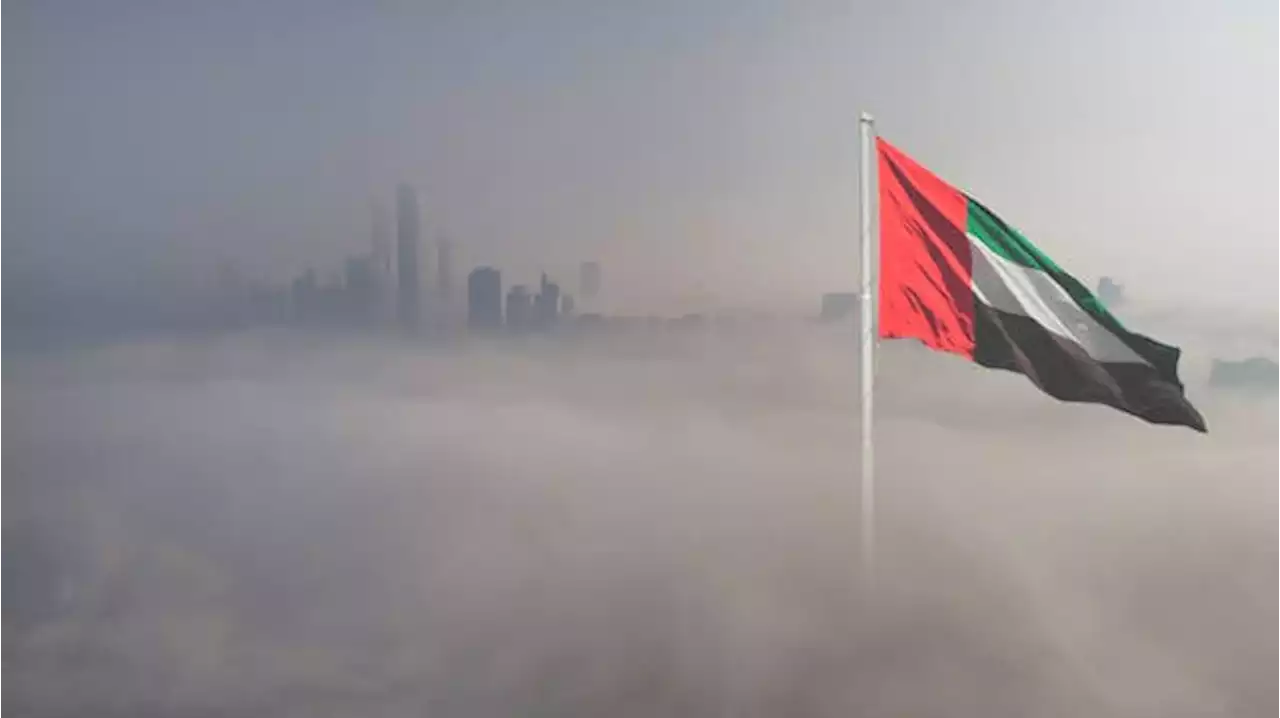 بسبب فيروس 'ماربورغ'.. الإمارات تدعو مواطنيها لتجنب السفر إلى تنزانيا وغينيا