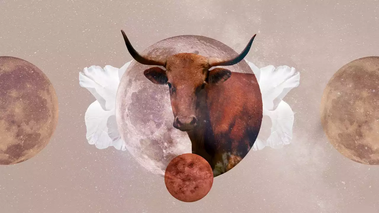 Your Sign's April 2023 Horoscope Predictions Are Here