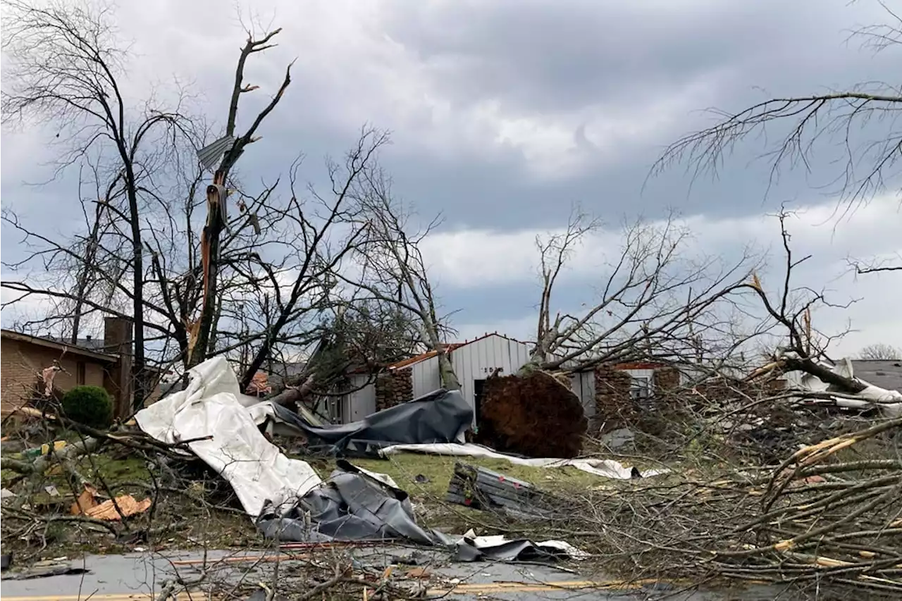 Tornadoes Kill at Least 11 Across South, Midwest, Including in Alabama - Alabama News