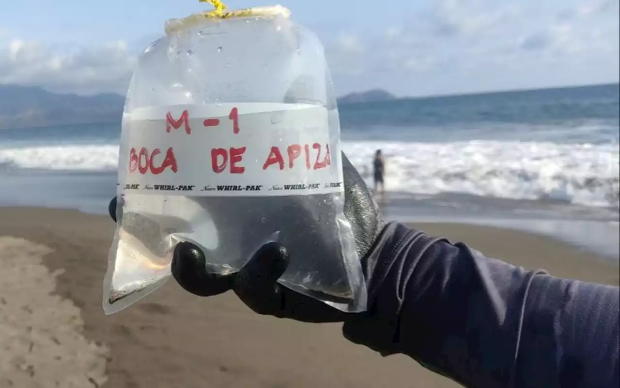 Conoce las playas no aptas para uso recreativo en Semana Santa