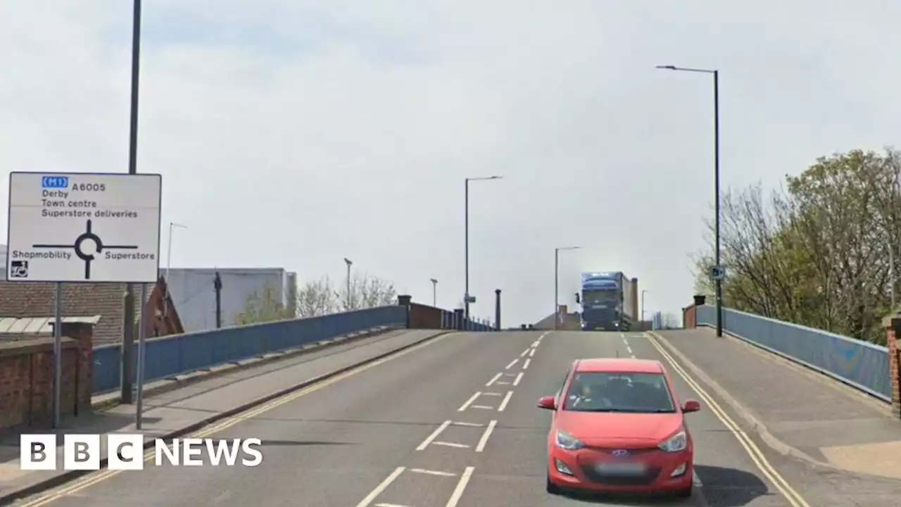 Long Eaton: Two dogs seized after woman bitten by dog