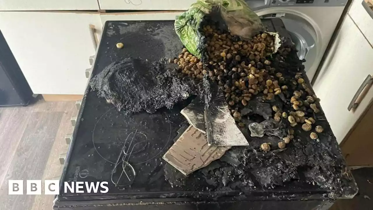 Dog thought to have started cooker fire in Cornwall