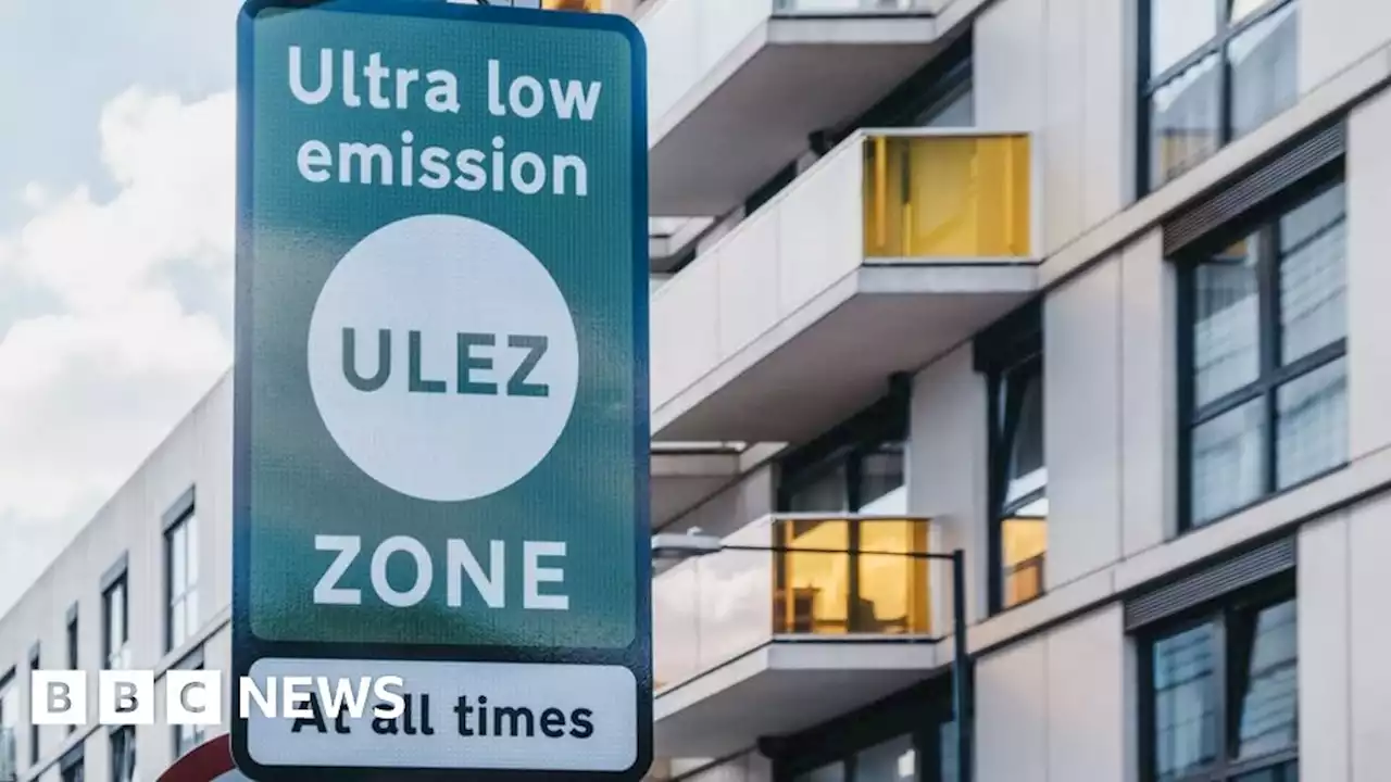 Firms in Essex could close due to ULEZ, warns business leader