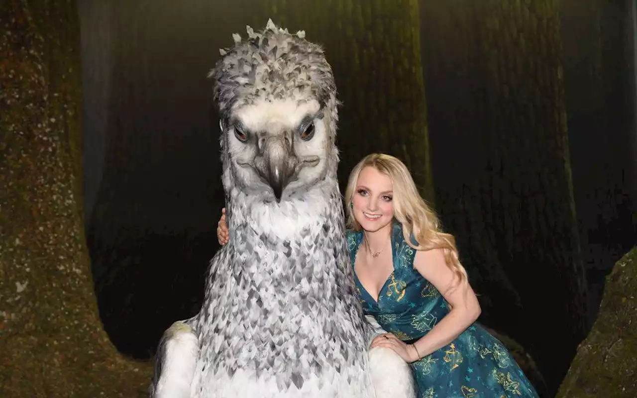 Evanna Lynch, ‘Luna Lovegood’ en Harry Potter, primera invitada de Comic Con Colombia