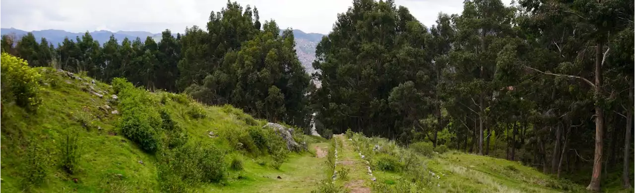 Qhapaq Ñan: el camino de los incas pasa por Colombia y así puede recorrerlo - Colombia Visible