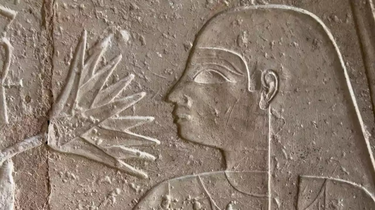 Scientists have decoded the smell of Cleopatra's perfume | CNN