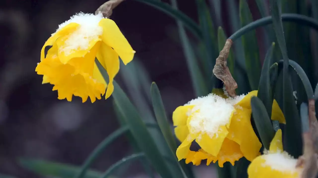 April storms bring May norms: Weather Network’s seasonal forecast