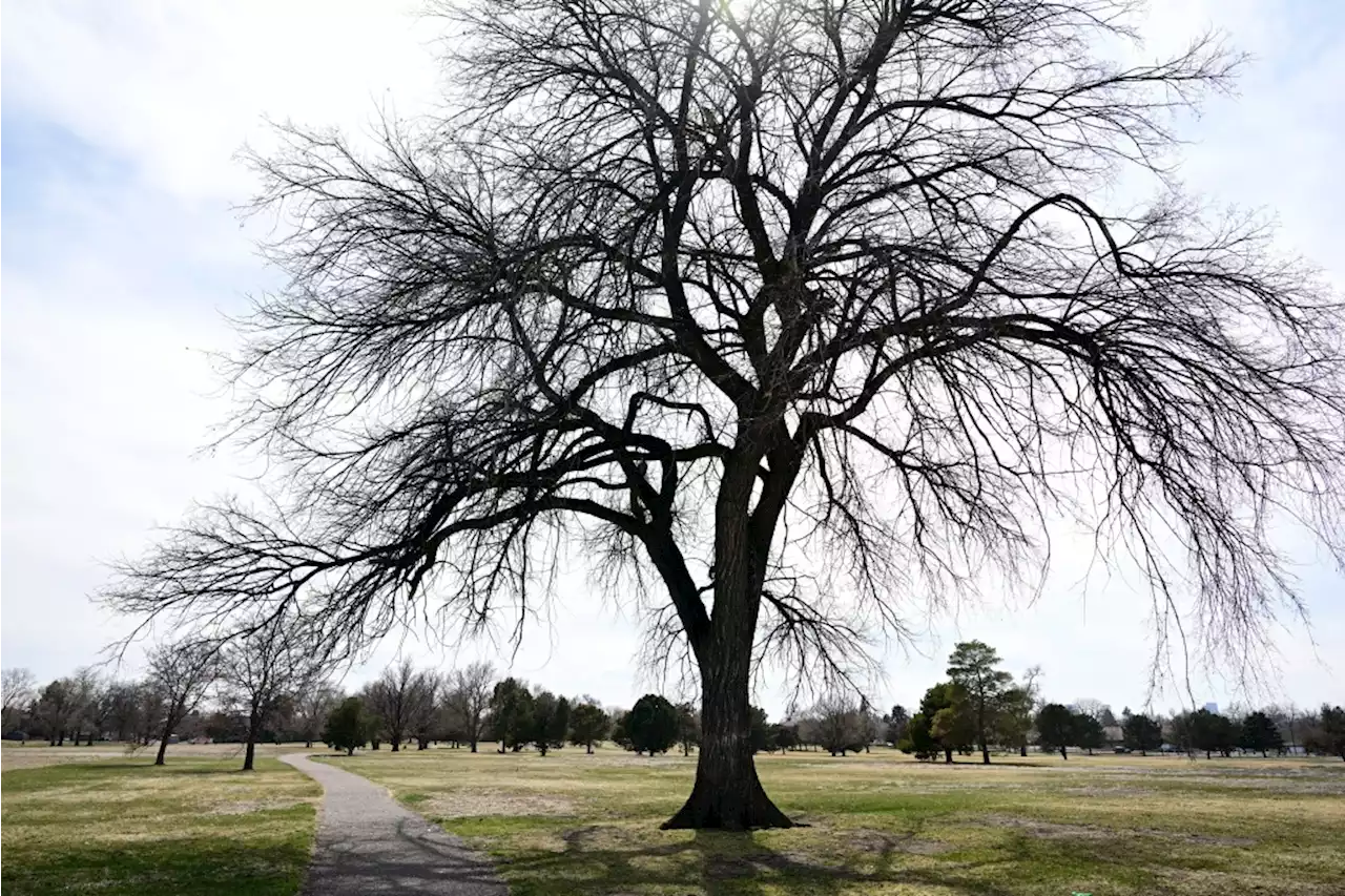 Denver weather: Less wind, sunny skies and warmer weather