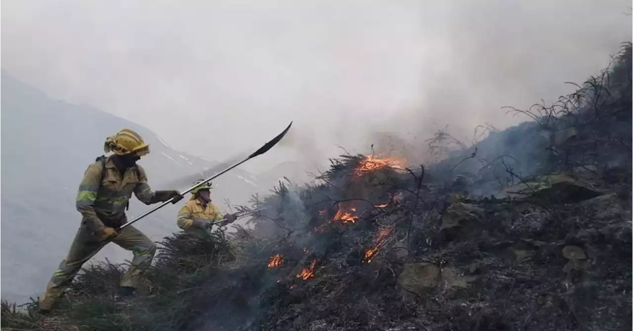 Cantabria tiene ocho incendios forestales activos este sábado y otros nueve fuegos controlados