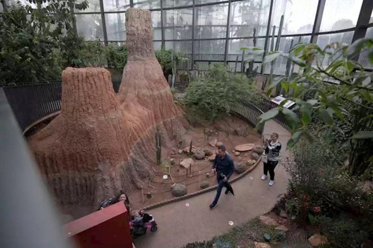 Conozca las actividades que ofrece el Jardín Botánico de Bogotá este fin de semana