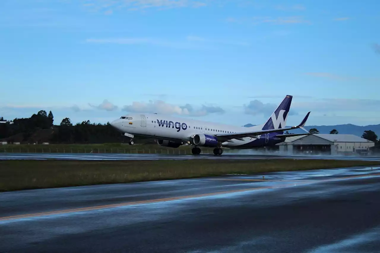 Wingo abrirá nueva ruta entre Barranquilla y Bogotá