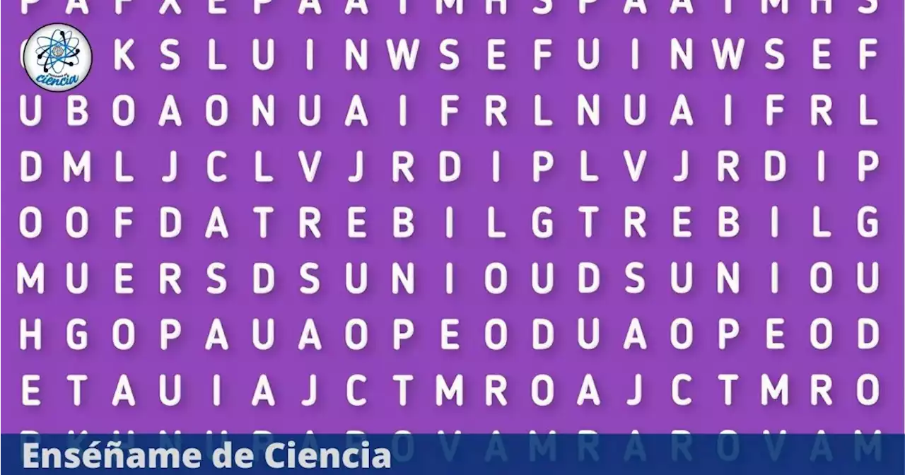 Acertijo visual para principiantes: Localiza la palabra “CORAL” en la sencilla sopa de letras