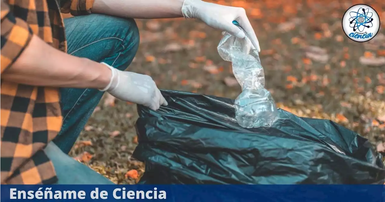 Esta es la forma correcta de desinfectar los botes de basura, según la ciencia