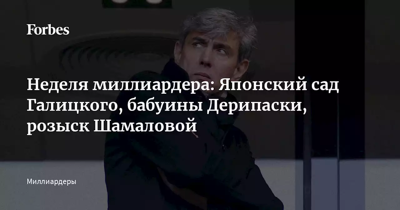 Неделя миллиардера: Японский сад Галицкого, бабуины Дерипаски, розыск Шамаловой