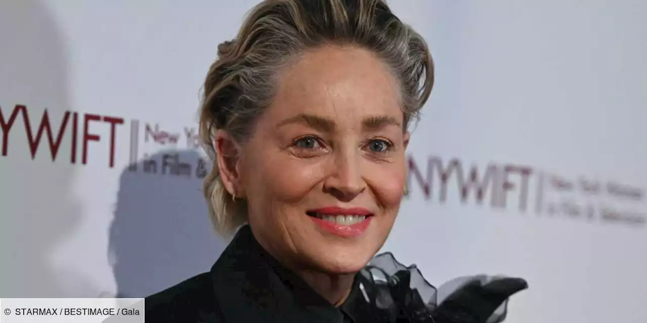 Sharon Stone lésée ? Elle dévoile son salaire pour Basic Instinct, un détail intrigue - Gala