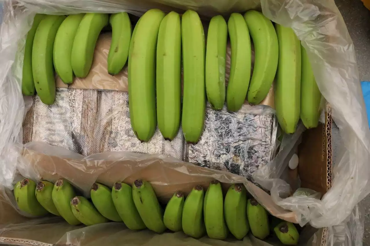 Därför smugglas tonvis av kokain i bananlådor