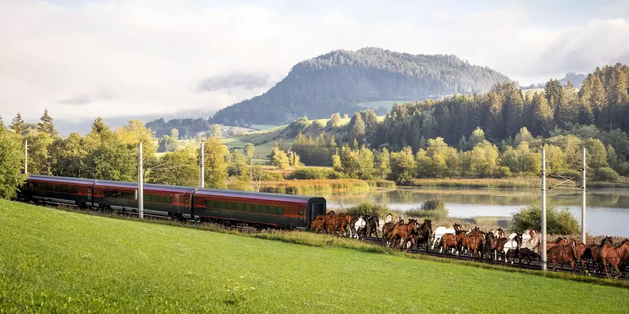 Energiesparen: ÖBB spannen künftig Pferde vor Railjets