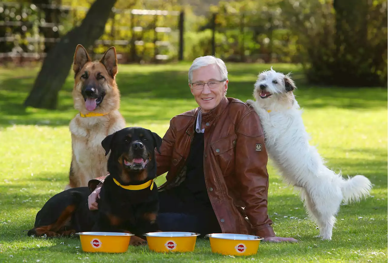 Battersea Dogs And Cats Home 'Overwhelmed' By Huge Wave Of Donations After Paul O'Grady's Death