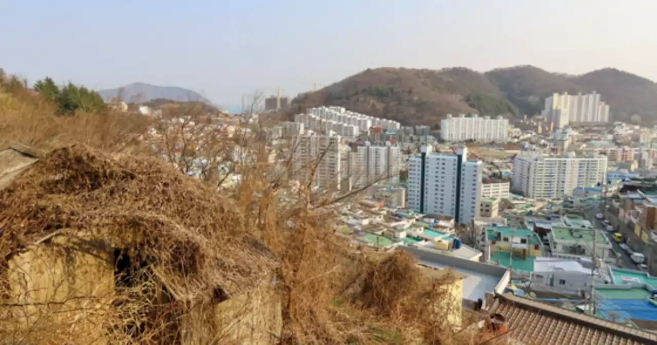 '물 귀하고, 똥은 넘쳤지'…100억 사기도 판친 고갯마루 사연 | 중앙일보