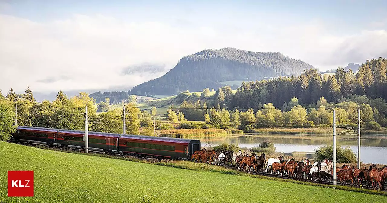 Aprilscherze: Lustige Ideen: Zugpferde für ÖBB-Railjet, steirisches 'Eau de Selch'-Parfüm oder 'Runimator' | Kleine Zeitung