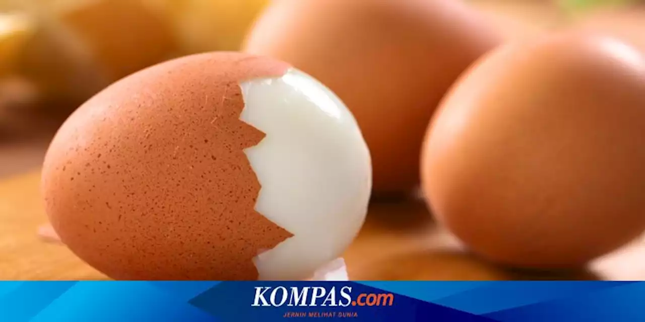 6 Manfaat Telur Rebus untuk Kesehatan dan Kandungan Gizinya