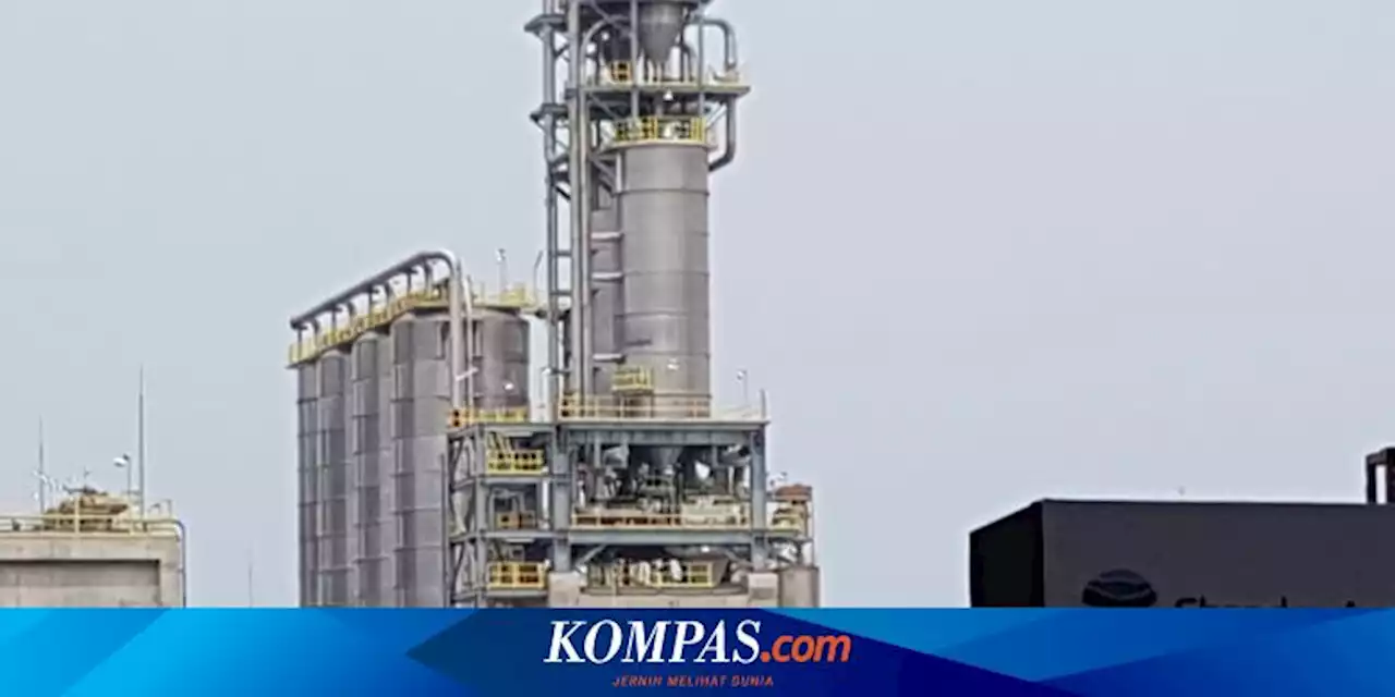 Industri Petrokimia Tertekan, Chandra Asri Rugi 149,4 Juta Dollar AS pada 2022