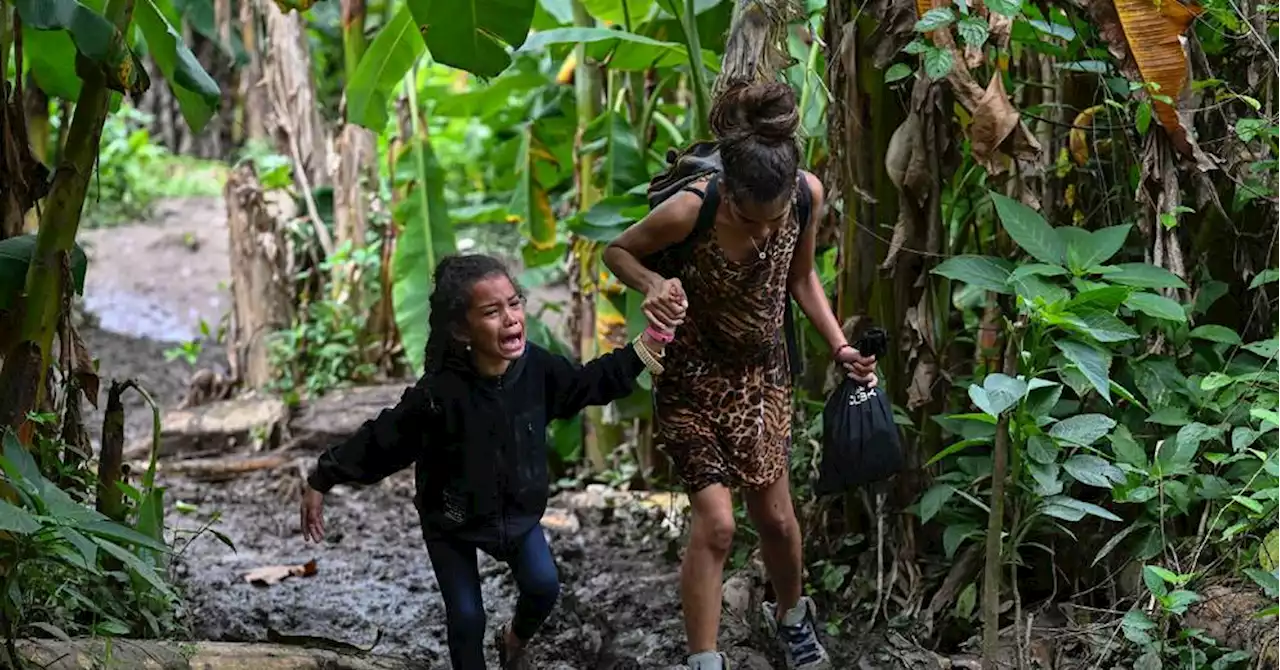 Panama: un nombre record d'enfants traversent la dangereuse jungle du Darien