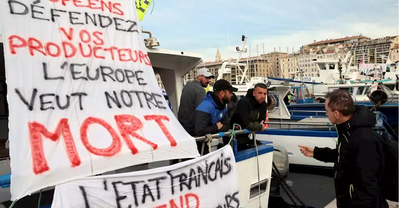 Pourquoi les pêcheurs provençaux sont-ils en grève ?