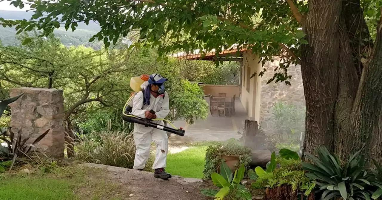 Suman más de 16.100 los casos de dengue en el país | Ciudadanos | La Voz del Interior