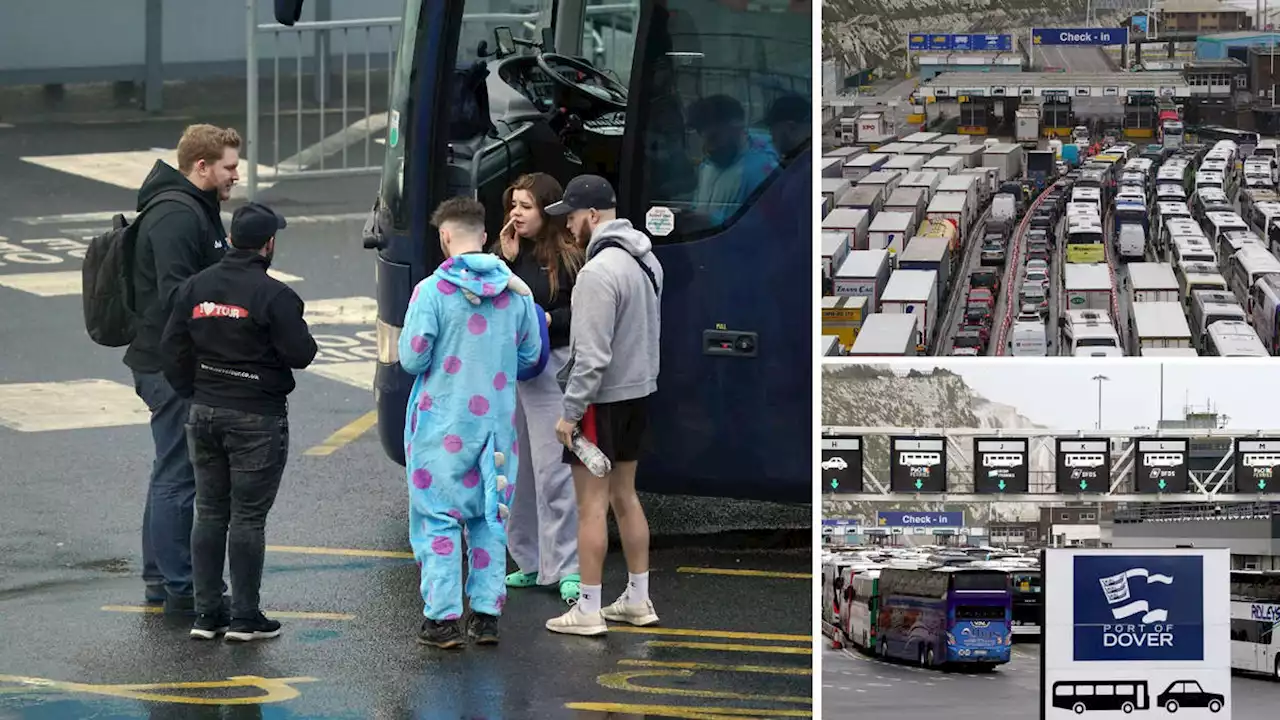 Stranded passengers at Dover furious as they're fed with crisps in hours-long queues and children sleep in service station