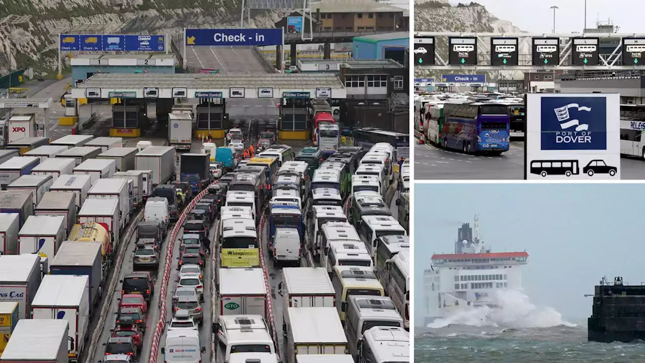 'Deeply frustrated': Port of Dover blasts French border controls for delays as it apologises for hours-long queues