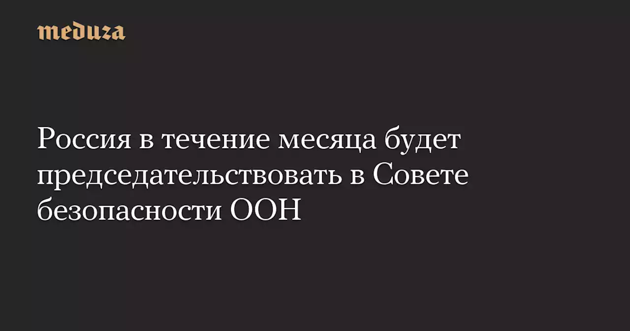 Россия в течение месяца будет председательствовать в Совете безопасности ООН — Meduza