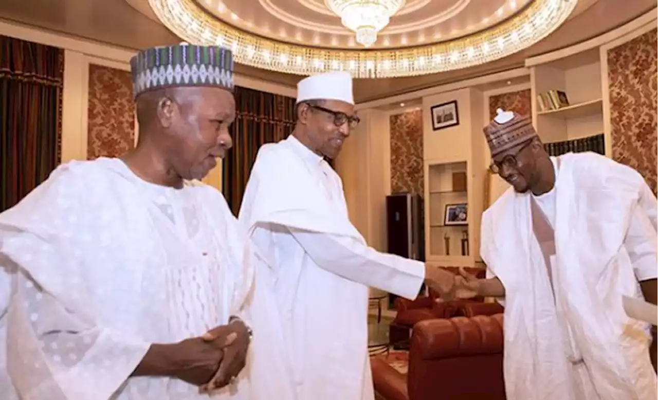 Katsina gov-elect meets Buhari, promises to restore farmlands