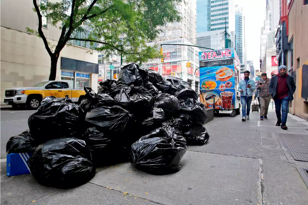 NYC Garbage Rules Change Saturday: New Time Details to Know