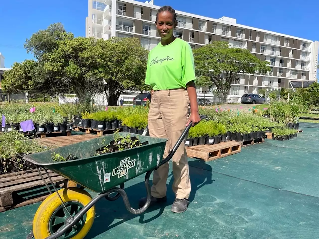 Seeds of change: Non-profit uses gardening to help heal the scars of homelessness | News24