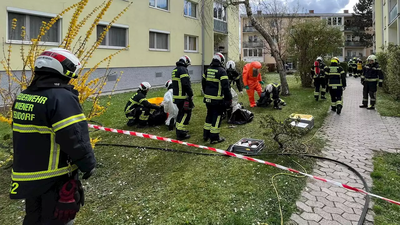 Schadstoff-Unfall in Wr. Neudorf: Wehren entschärften die Situation