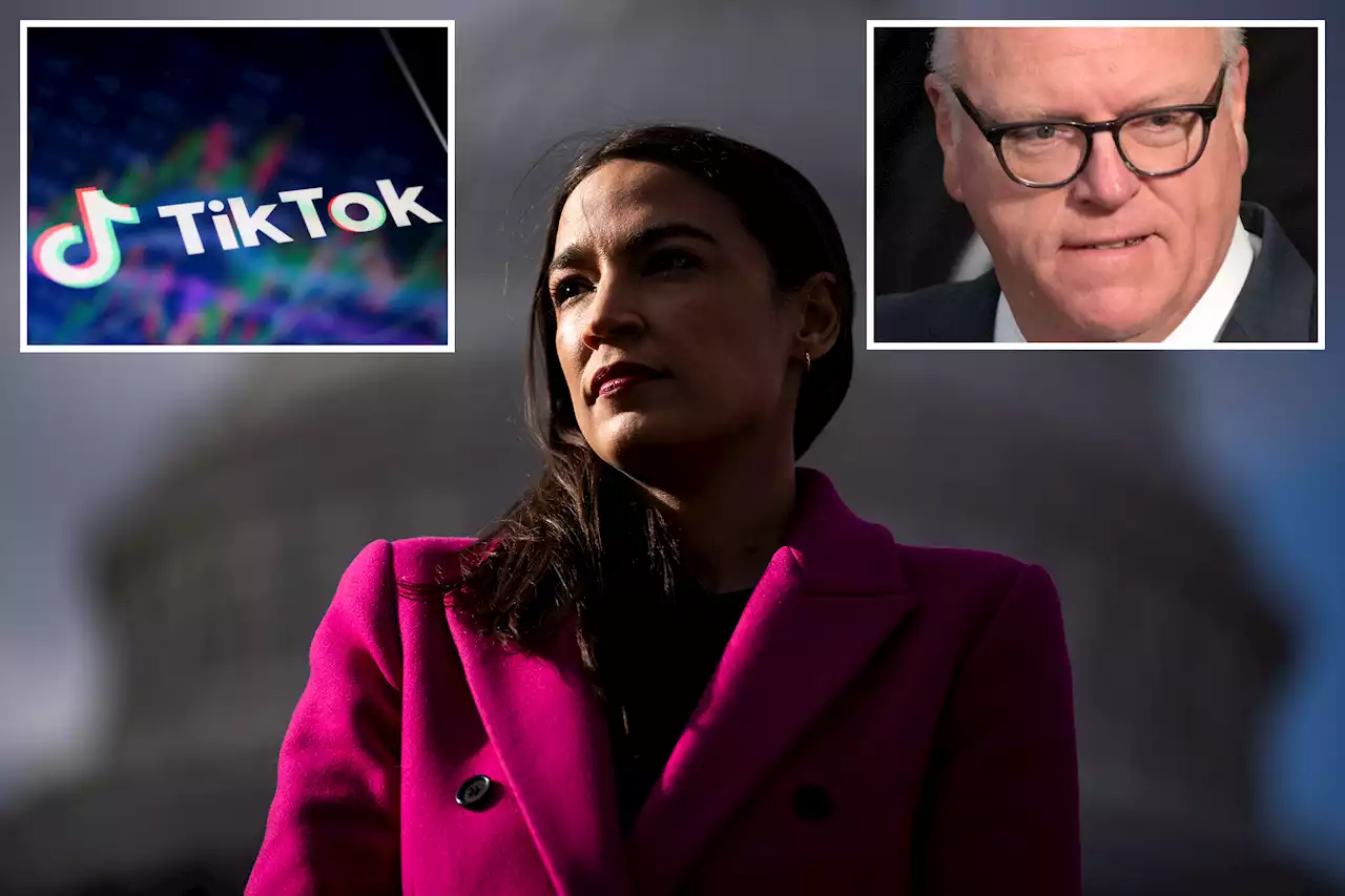 Alexandria Ocasio-Cortez, Joe Crowley find common ground in TikTok