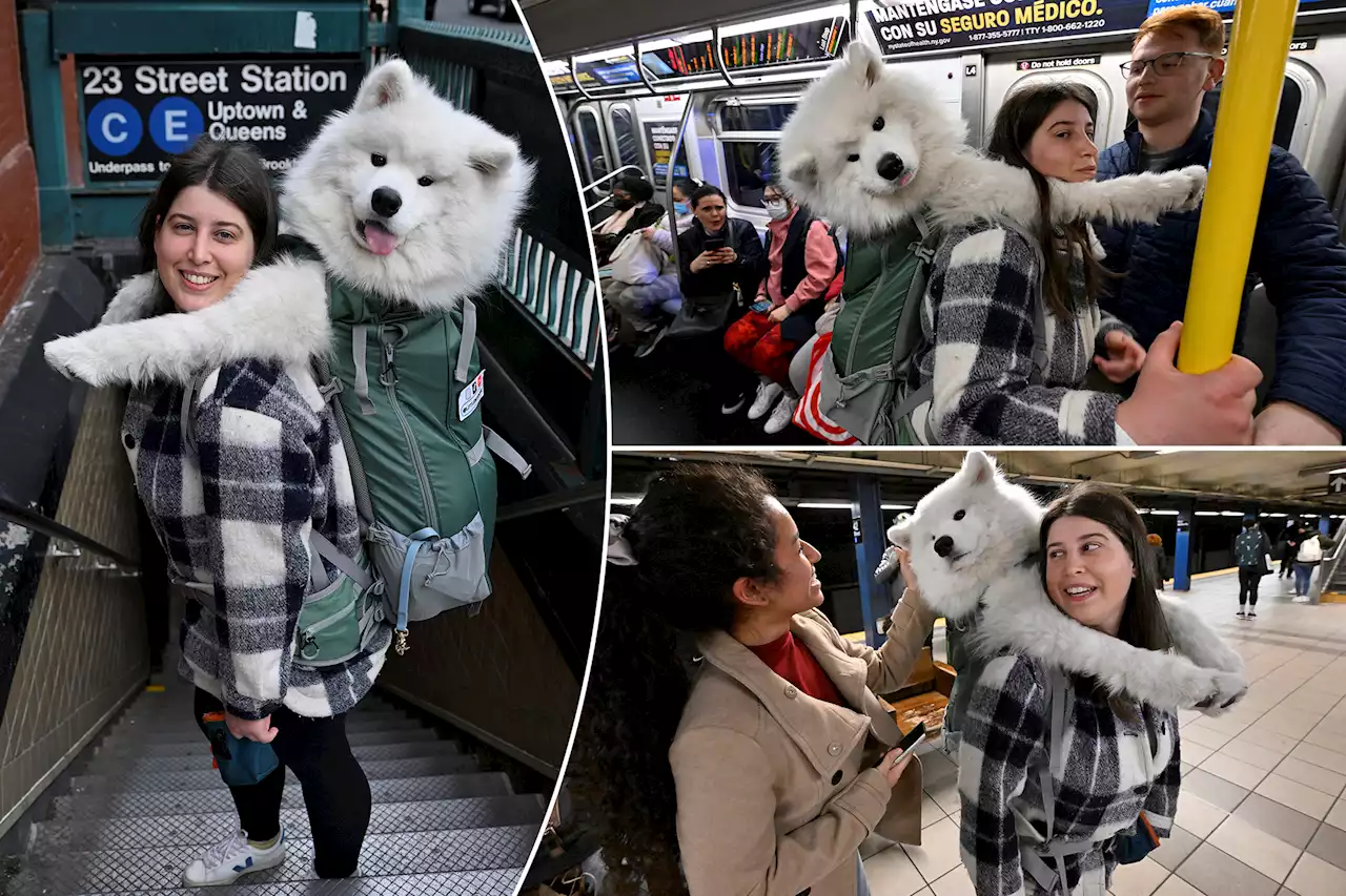 The internet’s new top dog is an adorable, subway-riding bear-cloud