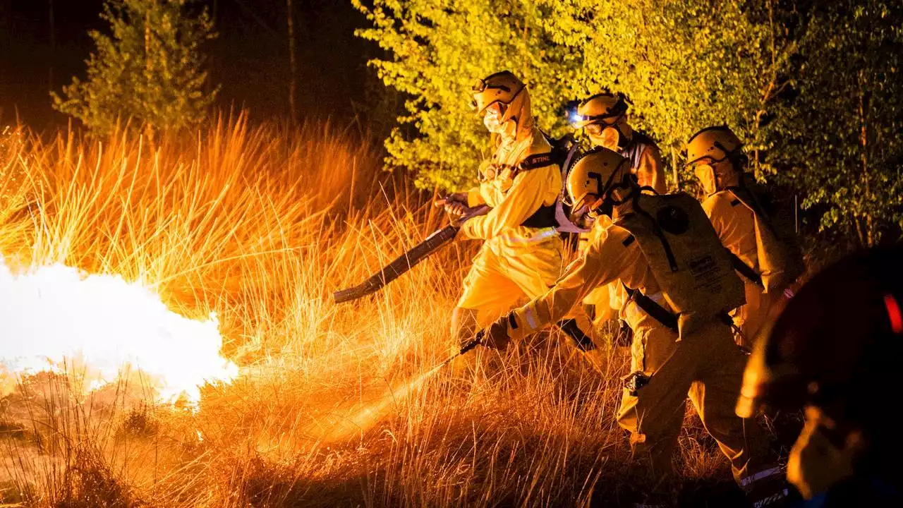 Speciaal team voor natuurbranden zoals in de Peel is nu écht inzetbaar