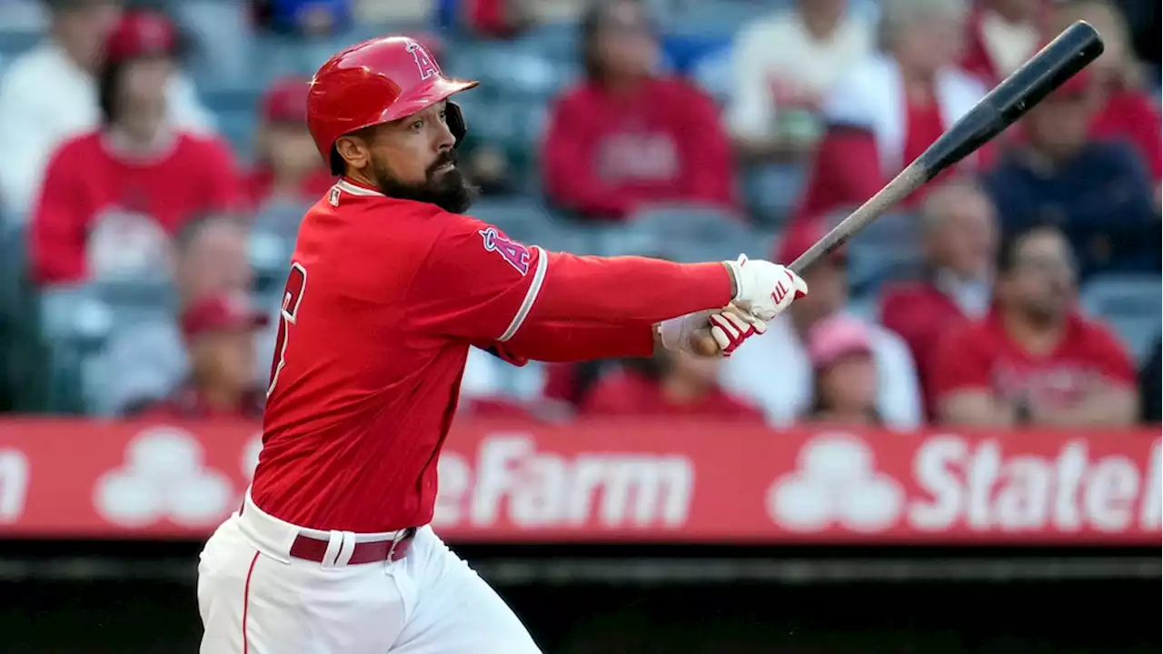 MLB investiga video de altercado de Anthony Rendon con aficionado